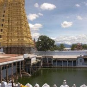 HOME Arulmigu Sankaranarayana Swamy Thirukkoil