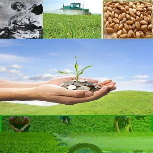 agriculture and economic image cleanup (2)