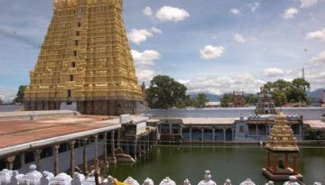 Arulmigu Sankaranarayana Swamy Thirukkoil