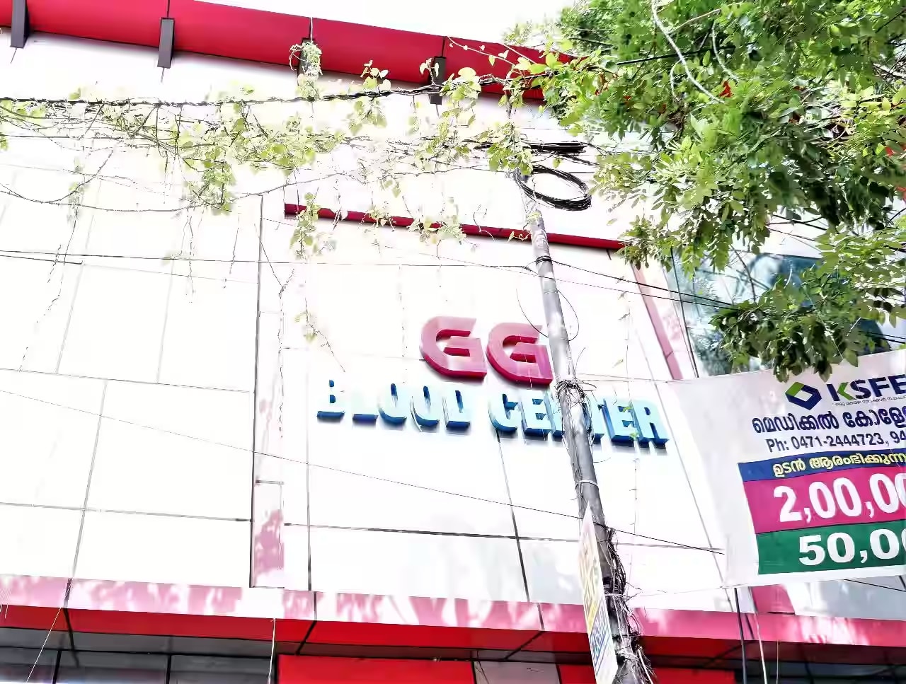 Gg Blood Centre