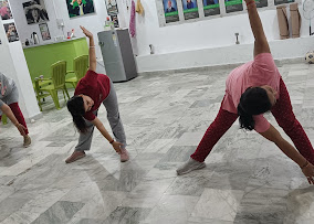 The Lifestyle Wellness Zone